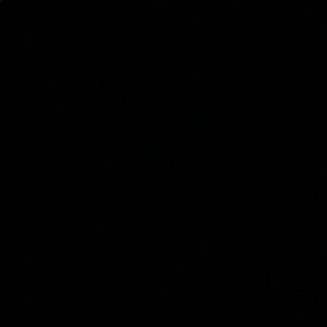 Meet your Posher, Jj